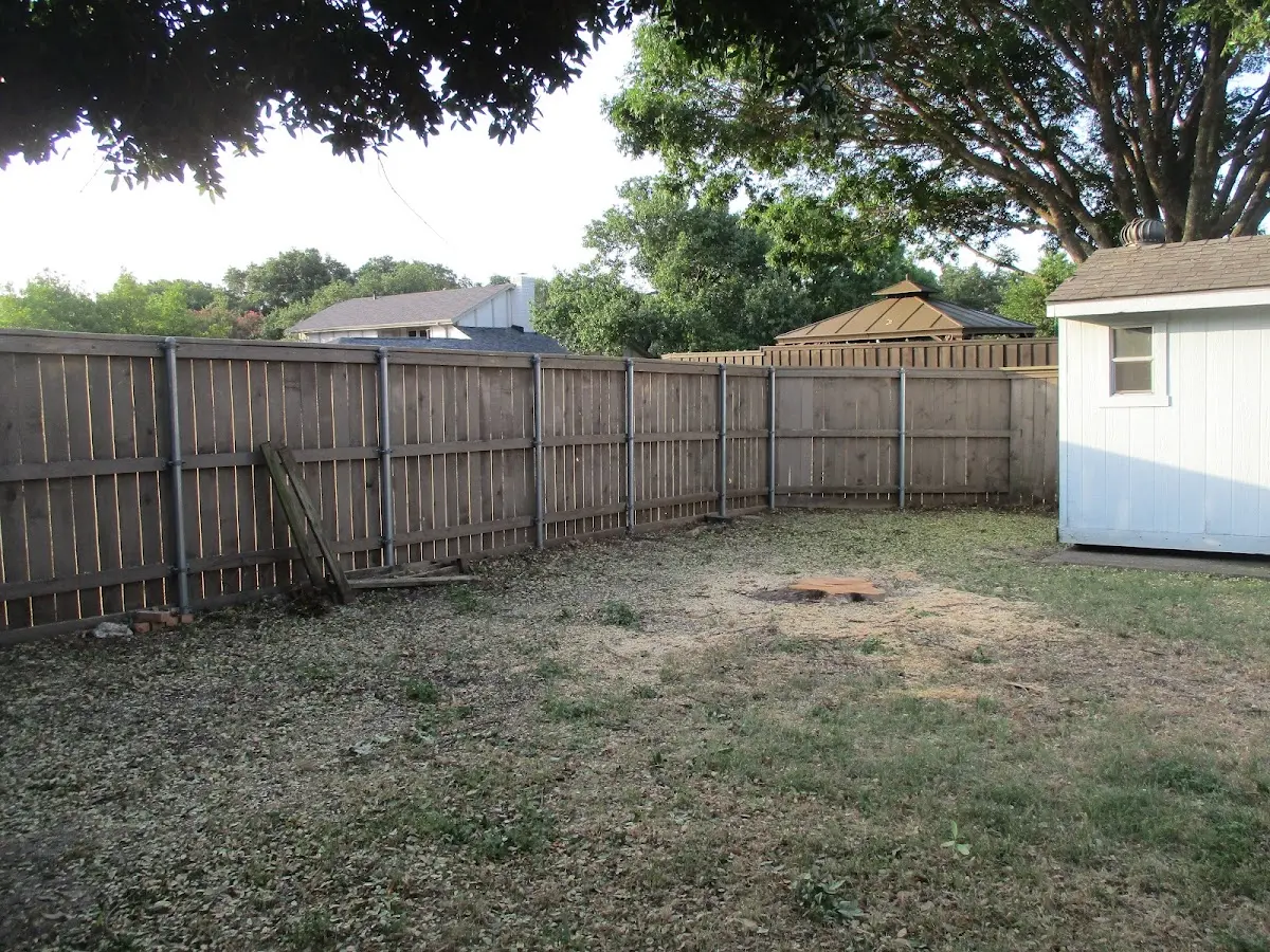 Cleared yard after professional tree removal in Hingham